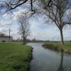 Etang de la cure: journée pêche du 28 avril 2019