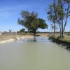 Etang de la Cure après travaux ( 06/09/2019 )